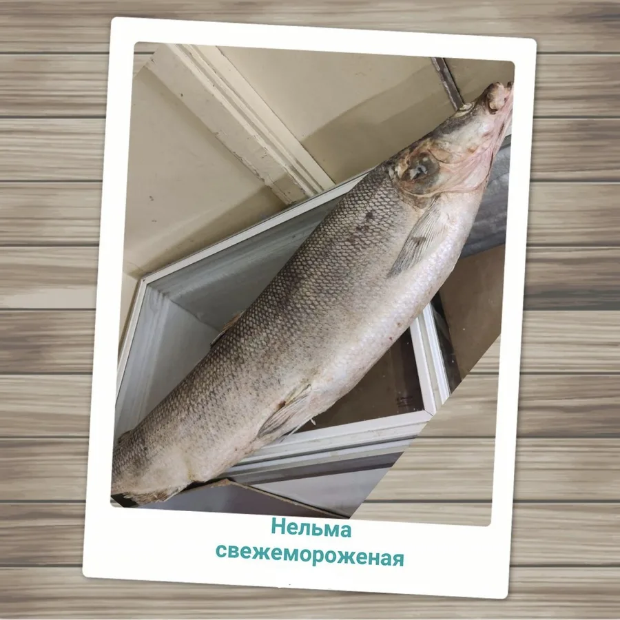 Нельма свежемороженая